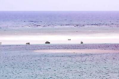 Hawaii: Don't Burn Christmas Trees At Sacred Oahu Sandbar