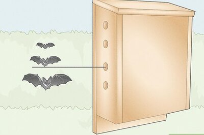 How to Build a Bat Box