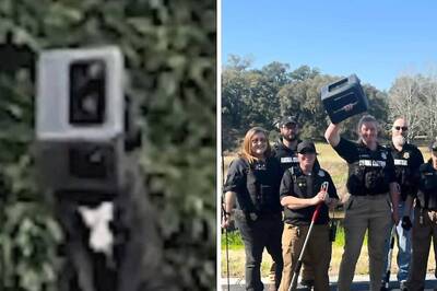 Dog With Box Stuck On Its Head Finally Finds Freedom After A Year In US