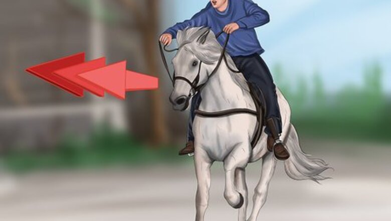 How to Teach a Horse to Do a Sliding Stop
