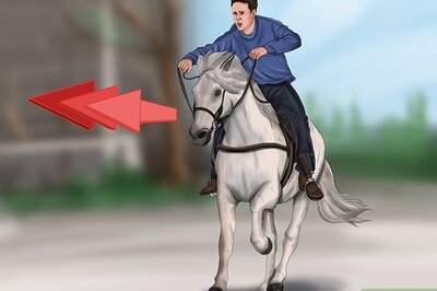 How to Teach a Horse to Do a Sliding Stop
