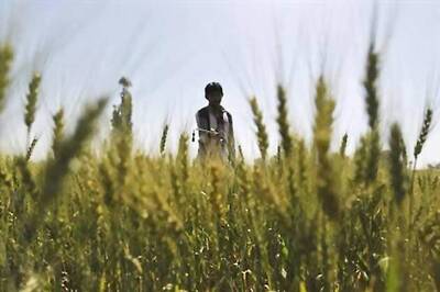 BJP promises interest-free agriculture loans to farmers in Bihar