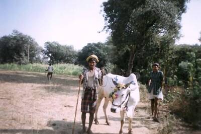 In These Tribal Areas of Gujarat, Narendra Modi is Still CM, and Indira Gandhi Recalled