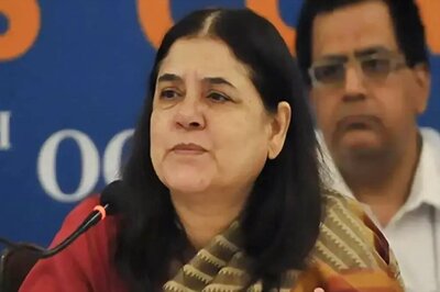 'Don't Know When They’ll Reveal Names': Maneka Gandhi On Congress Suspense For Amethi, Raebareli Candidates