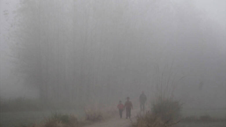 Three Dead After Car Falls in Gorge Due to Poor Visibility in Uttarakhand