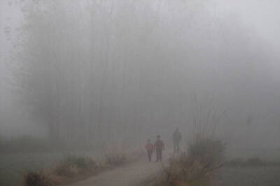 Three Dead After Car Falls in Gorge Due to Poor Visibility in Uttarakhand