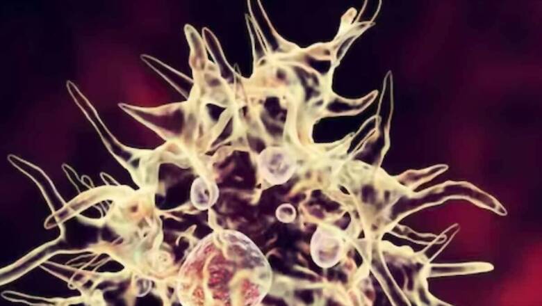 Medicine Brought From Germany To Combat Amoebic Encephalitis Epidemic In Kerala’s Kozhikode