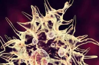 Medicine Brought From Germany To Combat Amoebic Encephalitis Epidemic In Kerala’s Kozhikode