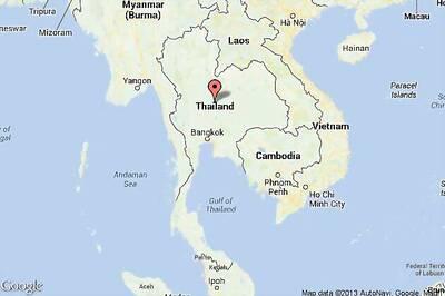 Elephant wraps mouth around bridesmaid's head in Thailand