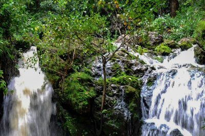 Jharkhand's Tourist and Picnic Spots Decked Up for New Year Celebrations