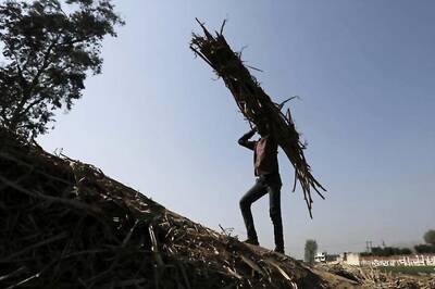 Cabinet Approves Rs 4,500-Crore Package to Sugar Industry