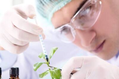 Opinion | Technology Development Board: An Unsung Soldier in the Technology Domain