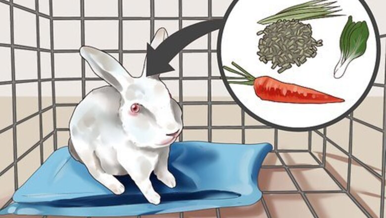 How to Choose Rabbit Food