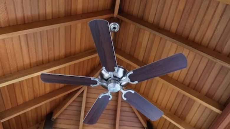 Video Of King Cobra Hanging From Ceiling Fan Will Creep You Out