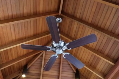 Video Of King Cobra Hanging From Ceiling Fan Will Creep You Out