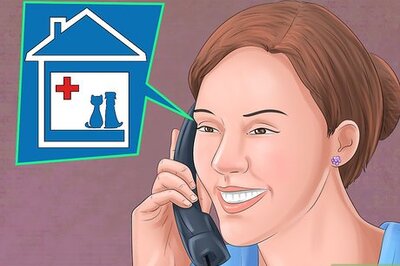 How to Save Money on Vet Care for Your Dog