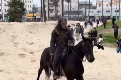 Ahead Of The Kingdom Of The Planet Of Apes’ Release, Humans Dressed As Apes Surprise People At Venice Beach