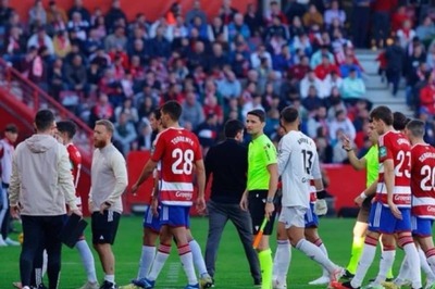 La Liga: Granada vs Athletic Bilbao Fixture Abandoned Following Demise of Fan