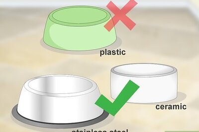 How to Improve the Quality of Your Pet's Drinking Water