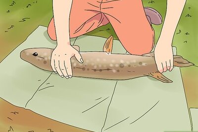 How to Hold a Pike