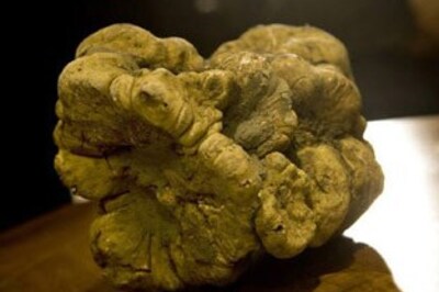 King's feast: the world's 11 most extravagant meals