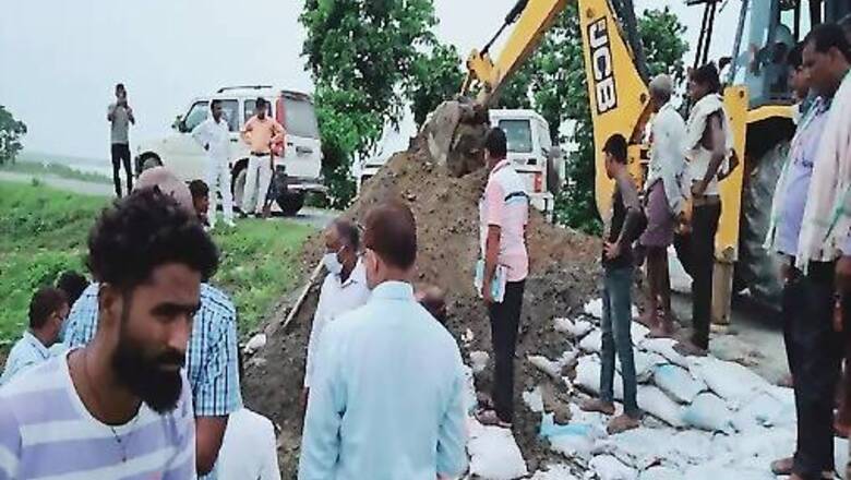 Crocodiles Build 10-feet Tunnel Inside a Bihar Dam, Lay Eggs