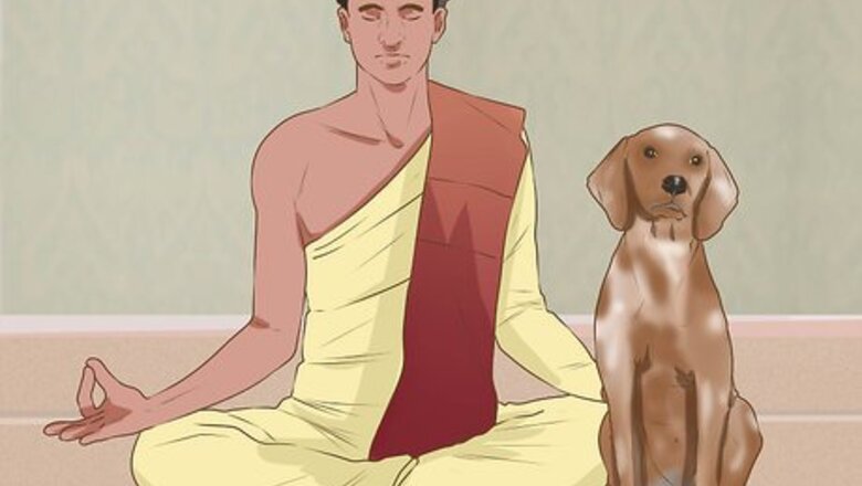How to Do Yoga with Your Dog
