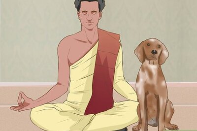 How to Do Yoga with Your Dog