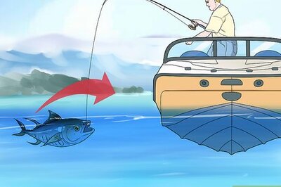 How to Gaff a Fish