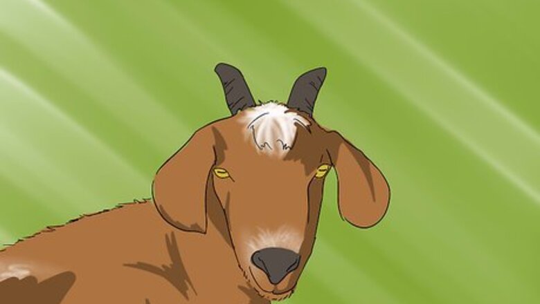 How to Harvest Cashmere