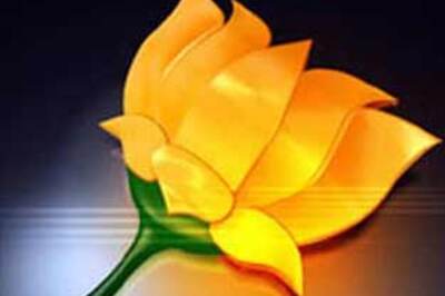 Third Front will split after LS polls: BJP