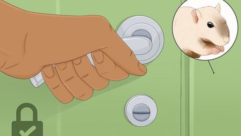 How to Catch a Gerbil on the Loose