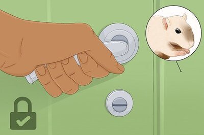 How to Catch a Gerbil on the Loose