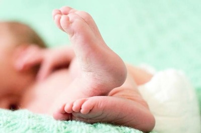 MP HC Seeks Reply Over Infant's Body Bitten by Ants at Hospital Morgue