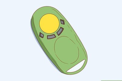 How to Teach Your Cat to Sit