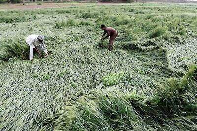 Government to carry out pilot study on green effects of MGNREGA