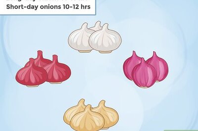 How to Grow Onions