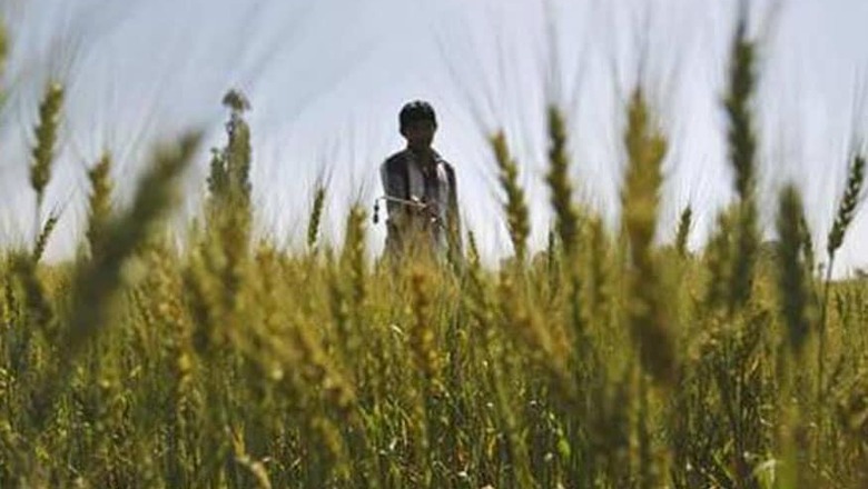 Substantial Disbursement Under PM-KISAN Scheme in Feb Itself, Says Economic Affairs Secy