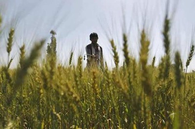Substantial Disbursement Under PM-KISAN Scheme in Feb Itself, Says Economic Affairs Secy