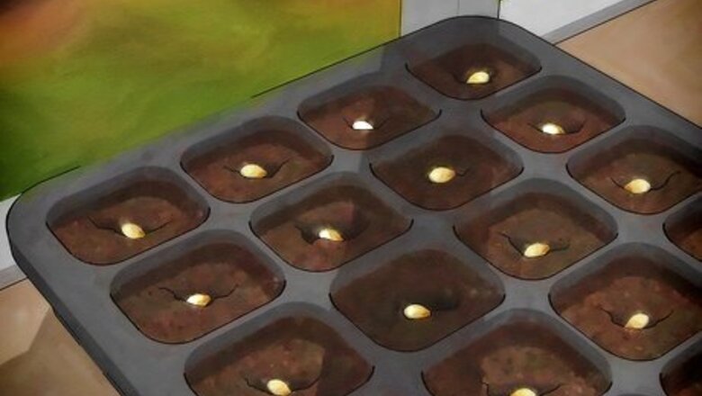 How to Grow Butternut Squash