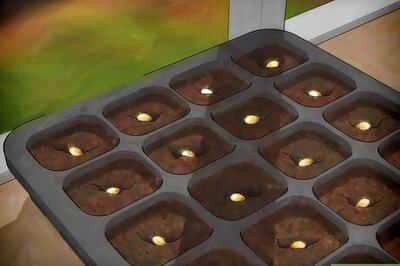 How to Grow Butternut Squash