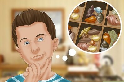 How to Collect Shells