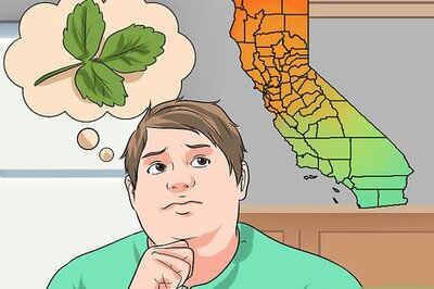 How to Identify Poison Oak