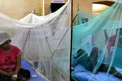 'An Amazing Ride': New Study May Have Found First-ever Treatment for Dengue