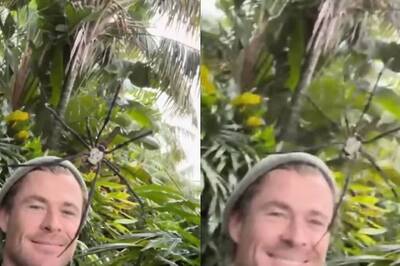 A Spider Can't Scare 'Thor' Chris Hemsworth And This Video Is Proof