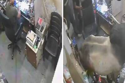 Watch: Bull Barges Into Mobile Repair Shop In Delhi's Sangam Vihar