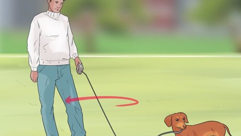 How to Have a Good Relationship With Your Dog