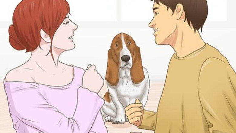 How to Meet Someone's New Dog