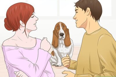How to Meet Someone's New Dog