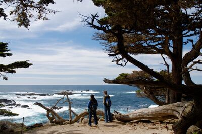 Cosy in California: Embrace the Warmth of Winter Escapes for a Delightful Holiday
